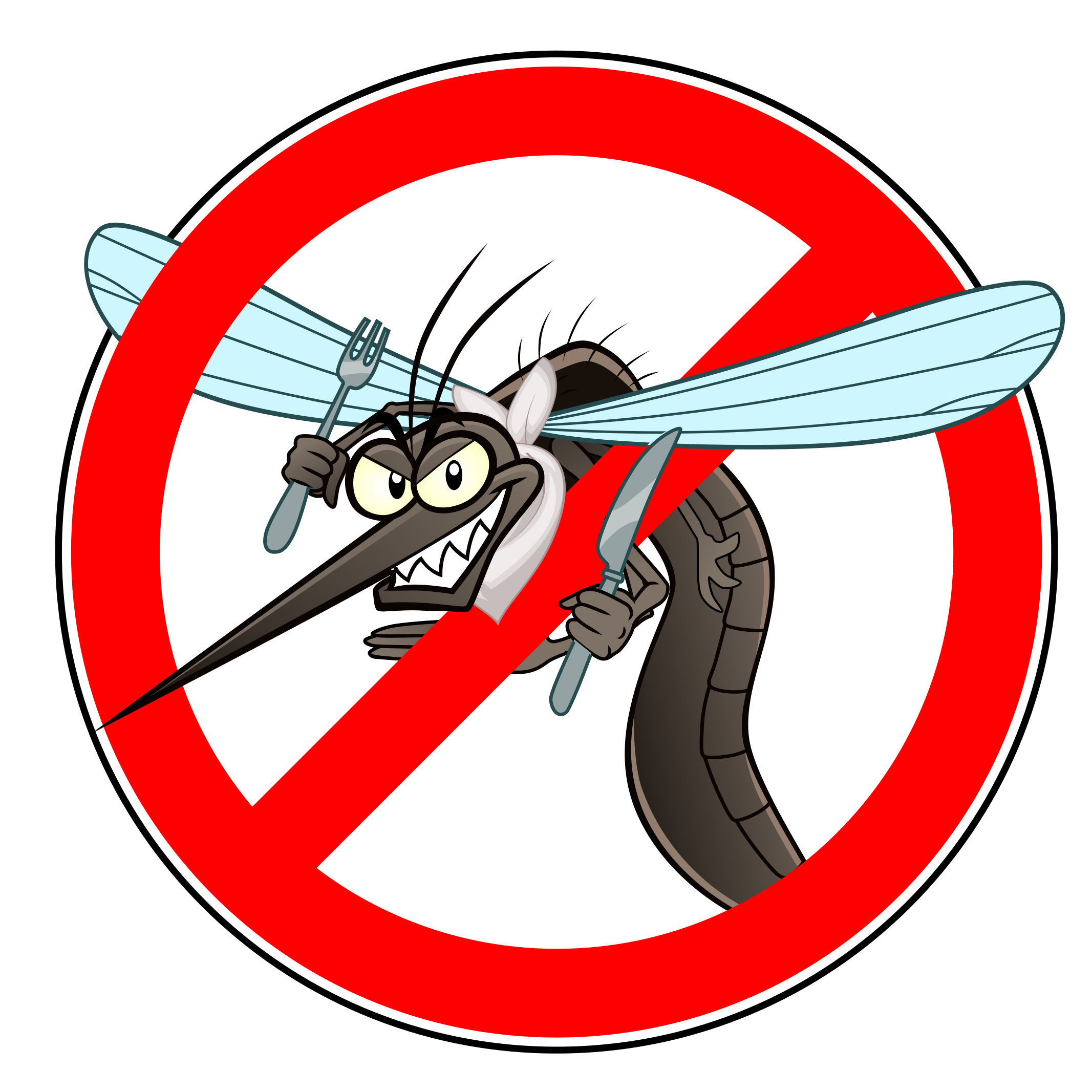 zanzara-divieto-ala