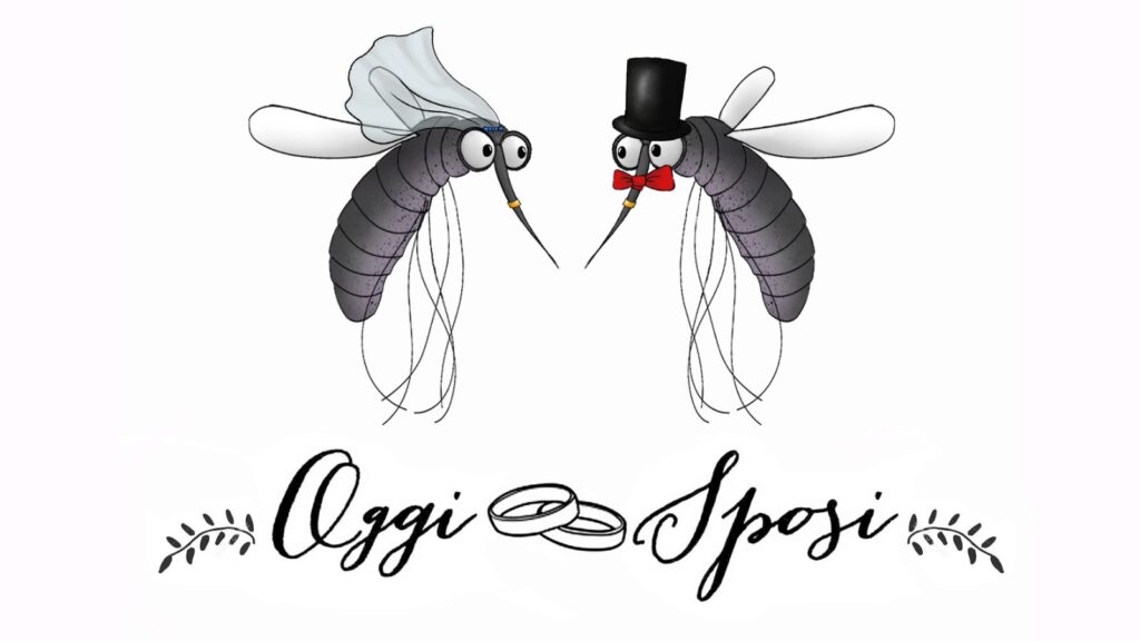 Zanzara maschio e zanzara femmina in abiti nuziali