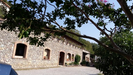 Esterono dell'agriturismo la Muragli a Vertova Bergamo