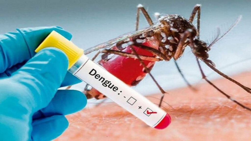 Virus Dengue