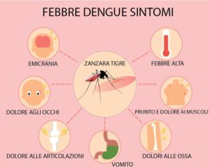 Cos’è la  Febbre Dengue?