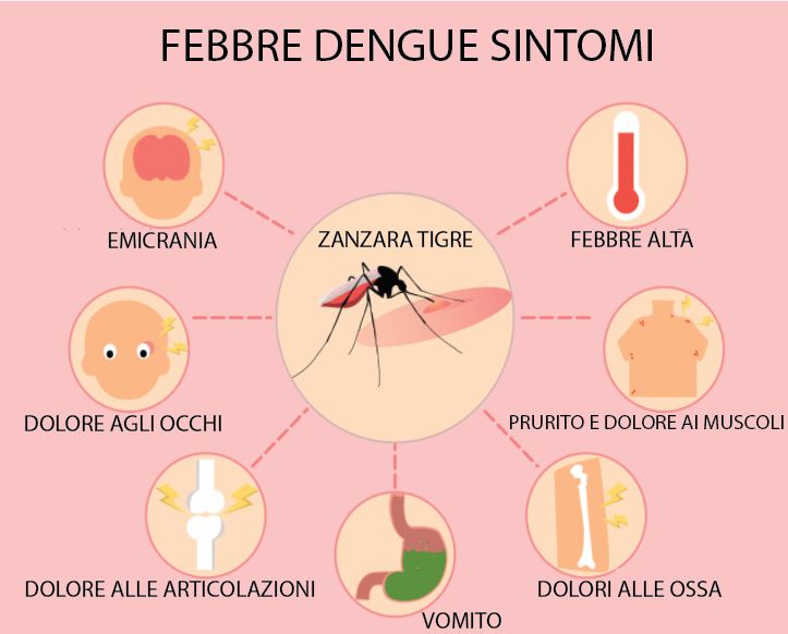 I sintomi della Febbre Dengue