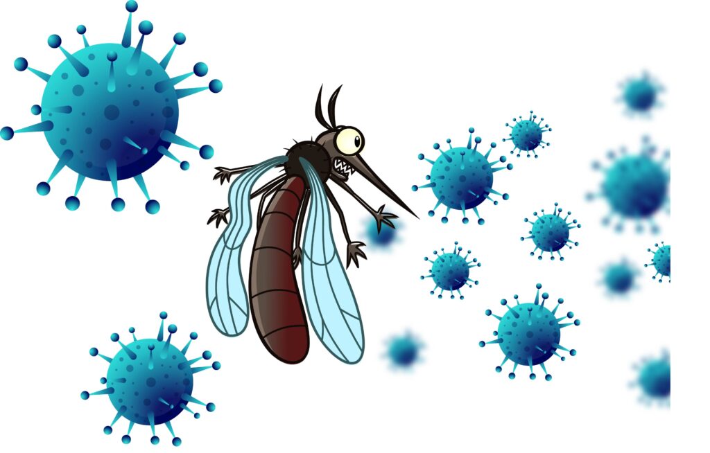 zanzara e coronavirus