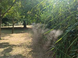 Recensione impianto antizanzare